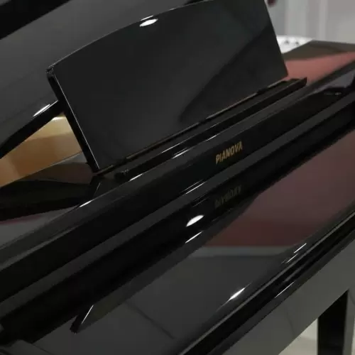 Цифровой рояль PIANOVA RG-110 Polish Black